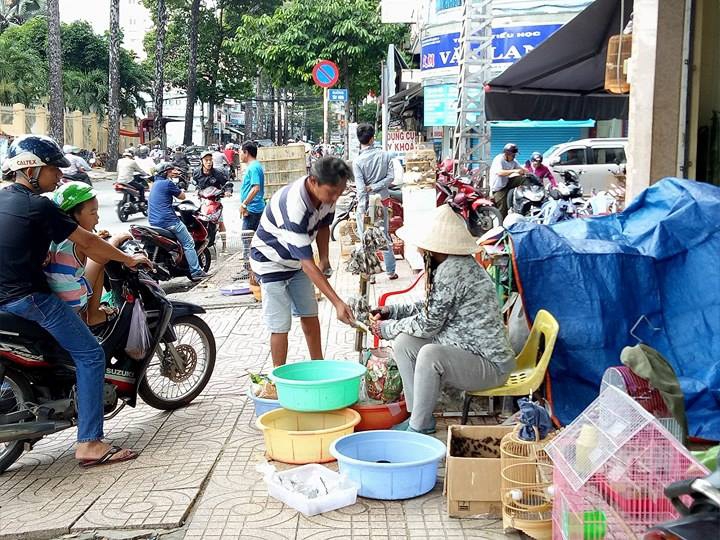 N&eacute;t qu&ecirc; độc đ&aacute;o của khu chợ chuy&ecirc;n b&aacute;n s&acirc;u bọ ở S&agrave;i G&ograve;n - Ảnh 2.