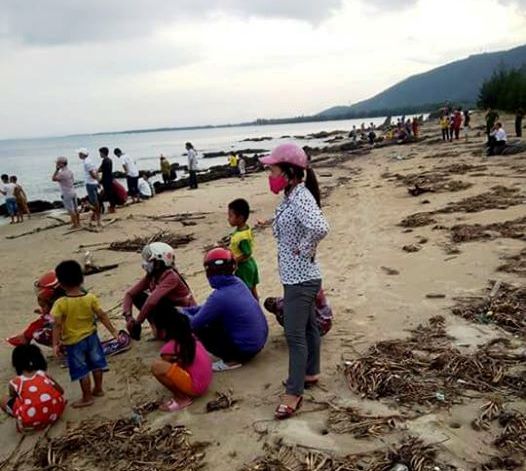 Giải cứu cá voi bị mắc cạn