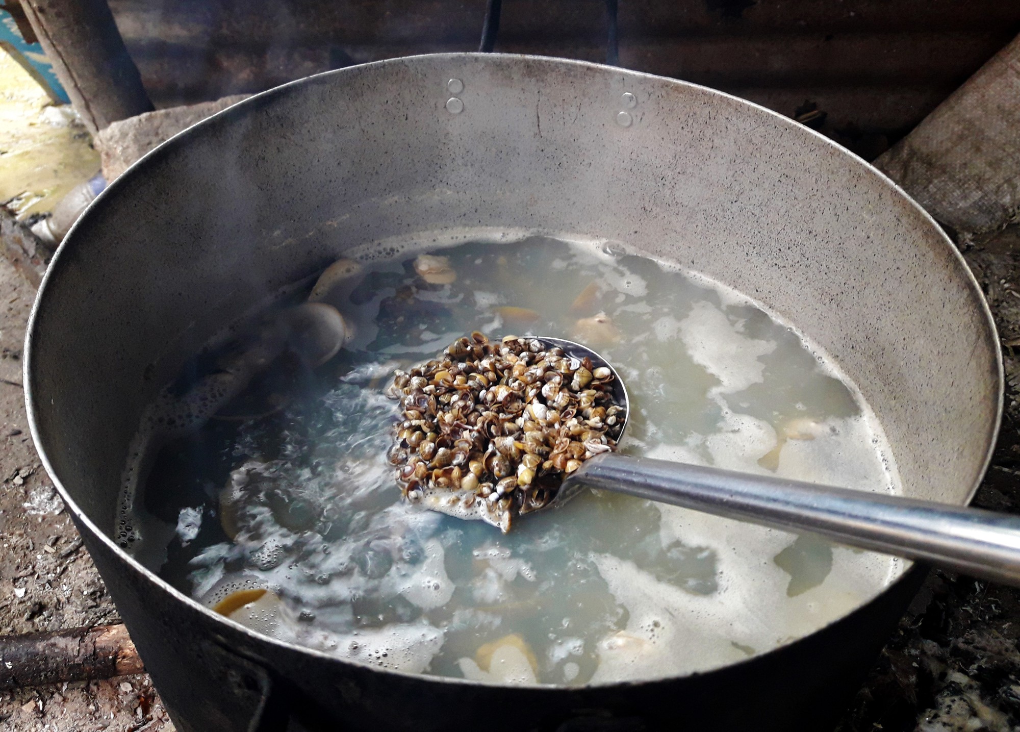 B&uacute;n chắt chắt &ndash; M&oacute;n d&acirc;n d&atilde; nhưng ngon đ&atilde; đời - Ảnh 2.