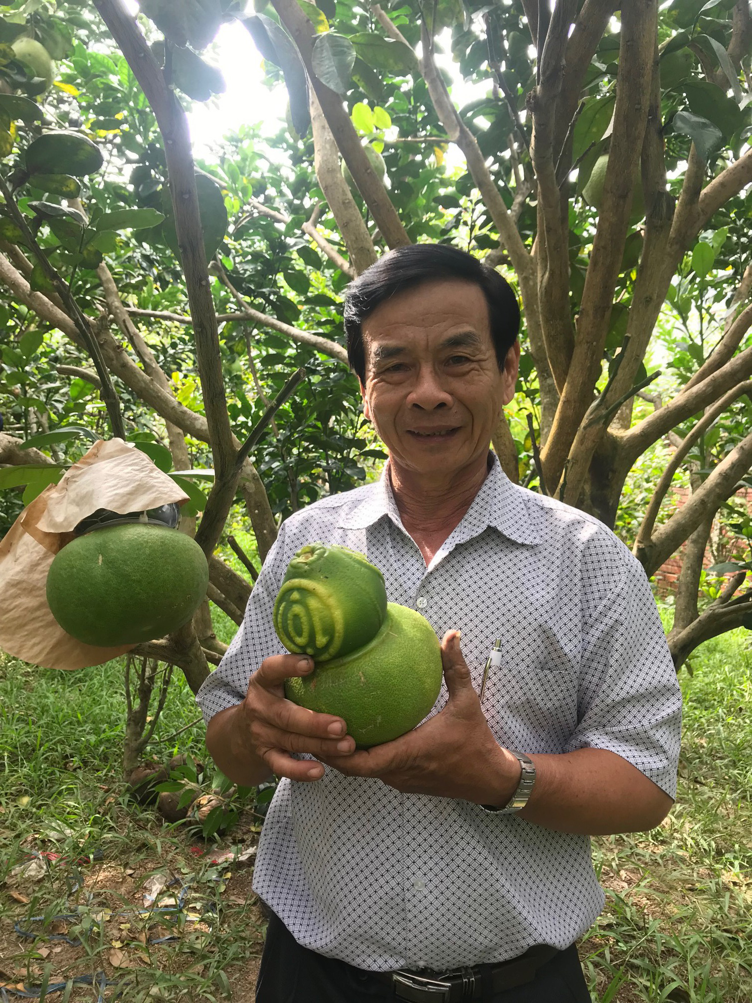 Trái cây độc, lạ sẵn sàng đón Tết - Ảnh 2.