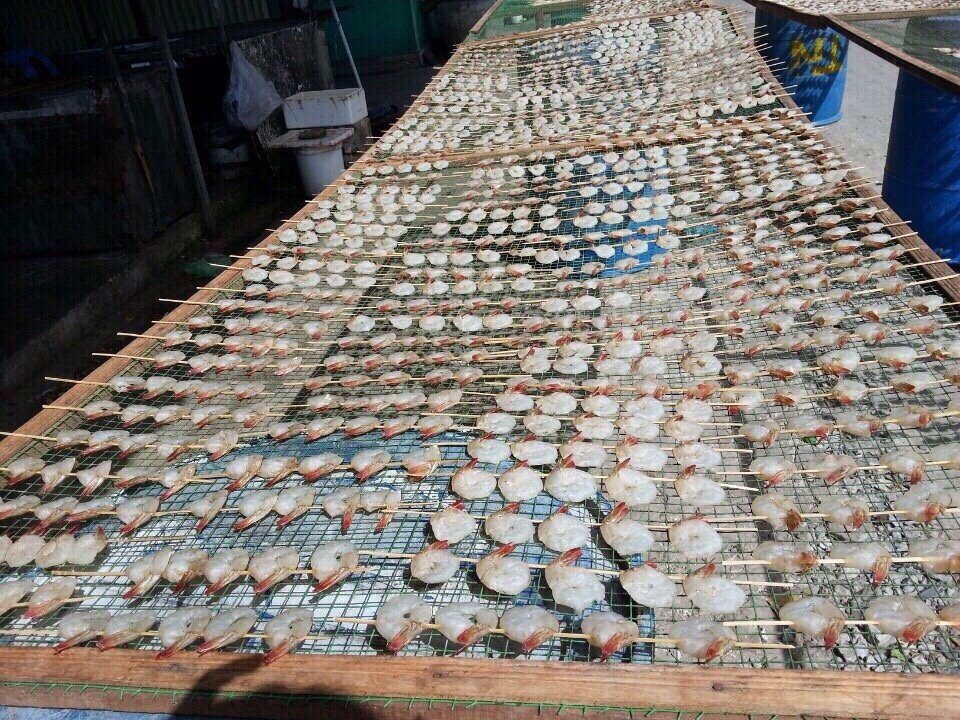 Tôm ép phơi khô là đặc sản được ưa chuộng tại Cà Mau