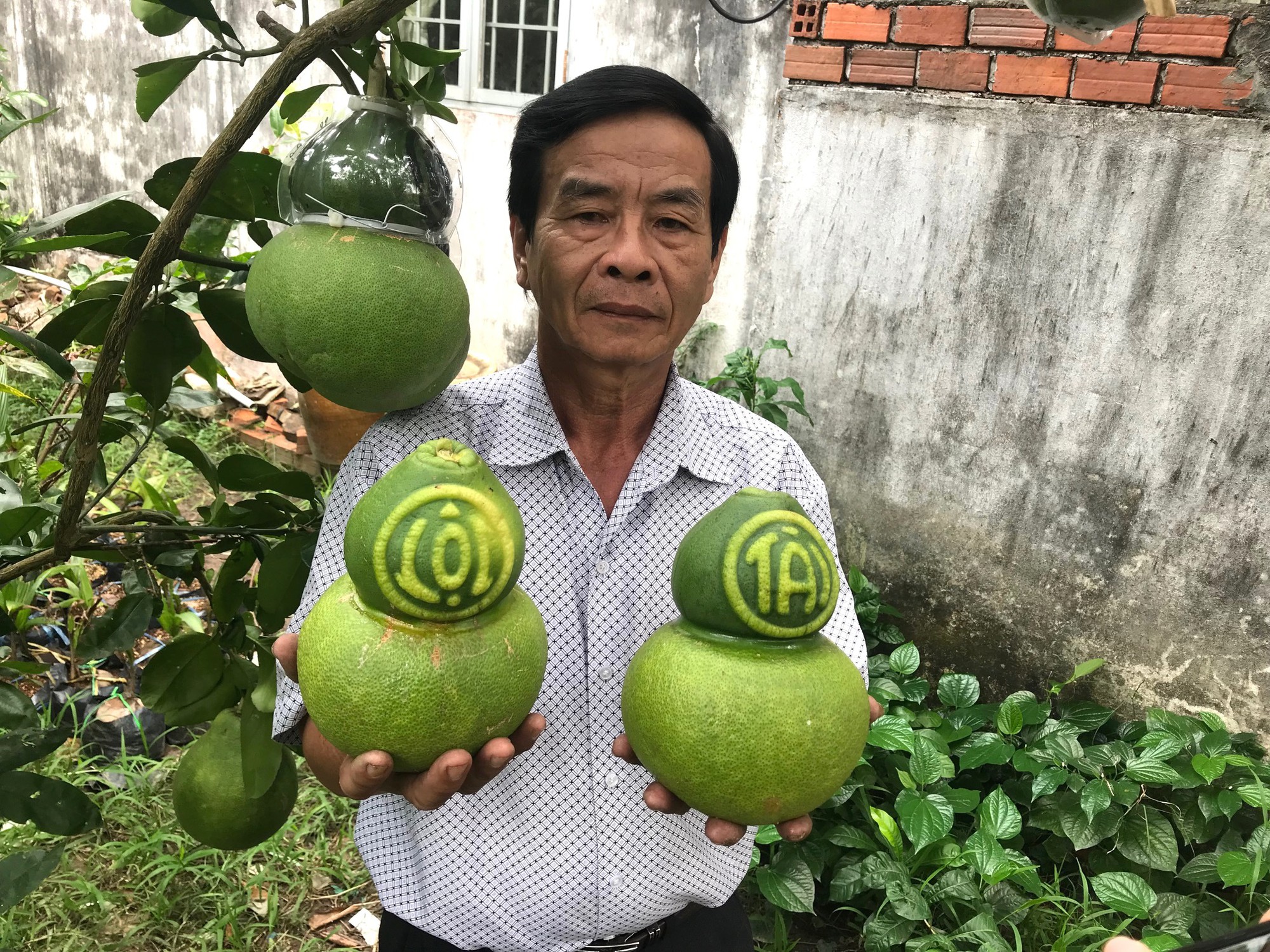 Trái cây độc, lạ sẵn sàng đón Tết - Ảnh 3.