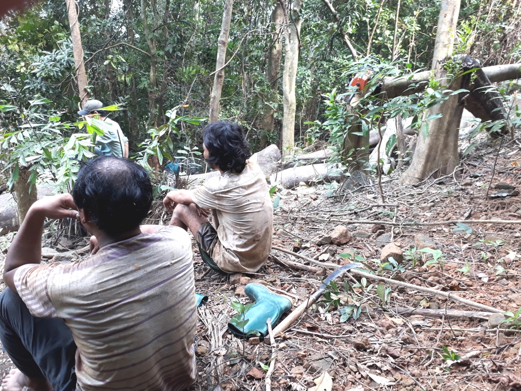 Nh&oacute;m &ldquo;l&acirc;m tặc&rdquo; đang nghỉ ngơi để tiếp tục hạ gỗ 