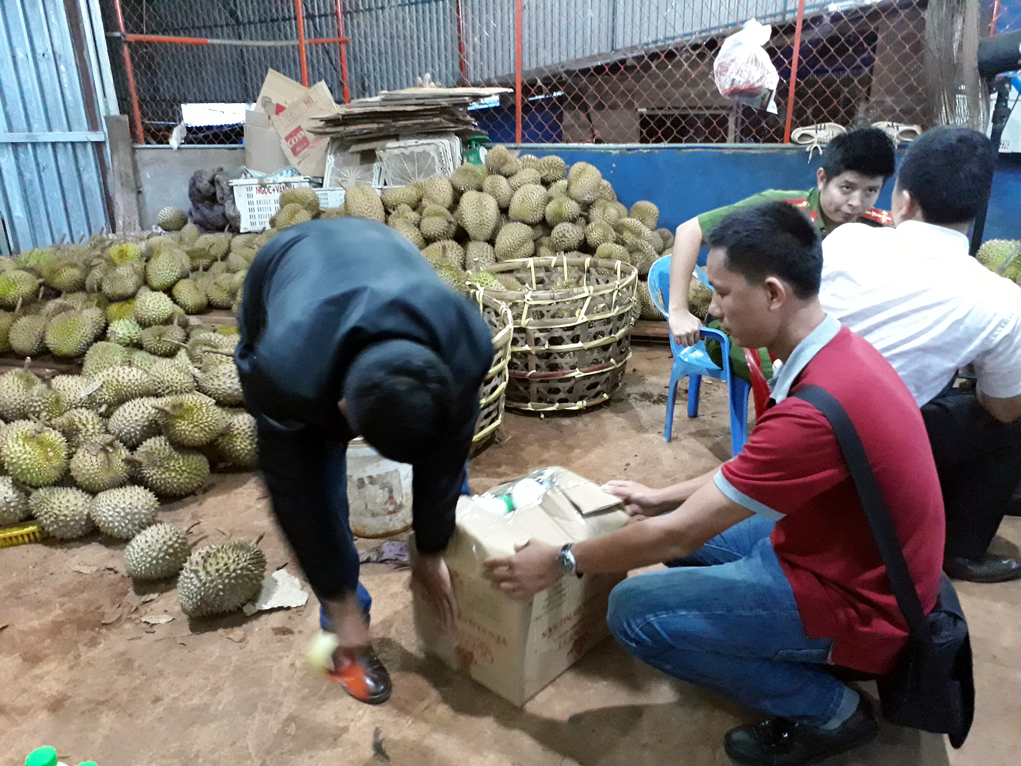 Tối nhúng sầu riêng vào phân bón, sáng bán đi các tỉnh