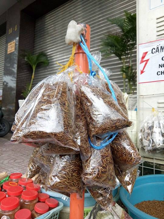 N&eacute;t qu&ecirc; độc đ&aacute;o của khu chợ chuy&ecirc;n b&aacute;n s&acirc;u bọ ở S&agrave;i G&ograve;n - Ảnh 7.