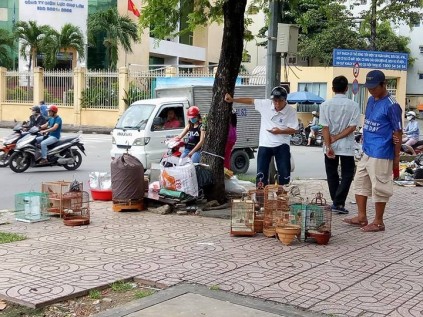 N&eacute;t qu&ecirc; độc đ&aacute;o của khu chợ chuy&ecirc;n b&aacute;n s&acirc;u bọ ở S&agrave;i G&ograve;n - Ảnh 8.