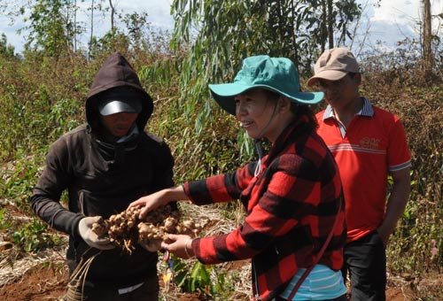 Khó khăn trăm bề!