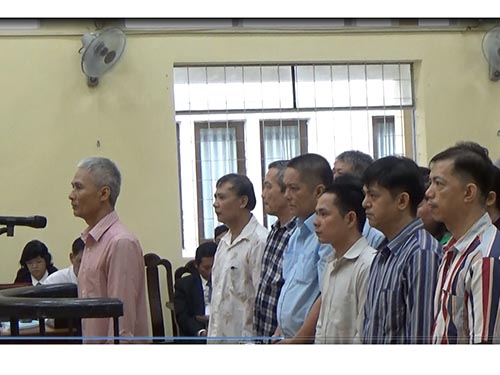 Bảy "đại gia" thủy sản hầu tòa