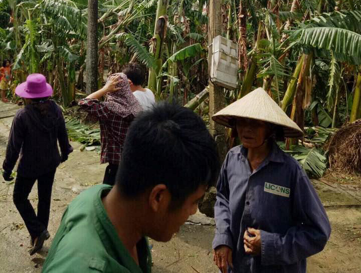 Trèo cây phát quang sau bão số 10, trưởng thôn ngã tử vong