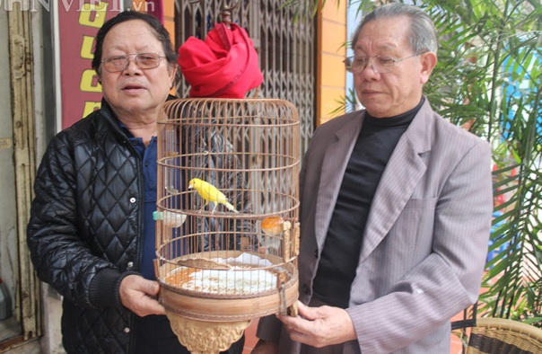 Hái ra tiền nhờ nuôi yến cảnh