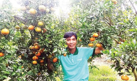 Tỉ phú Hà thành trên cao nguyên