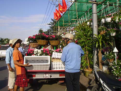 Giá hoa kiểng tăng nhẹ