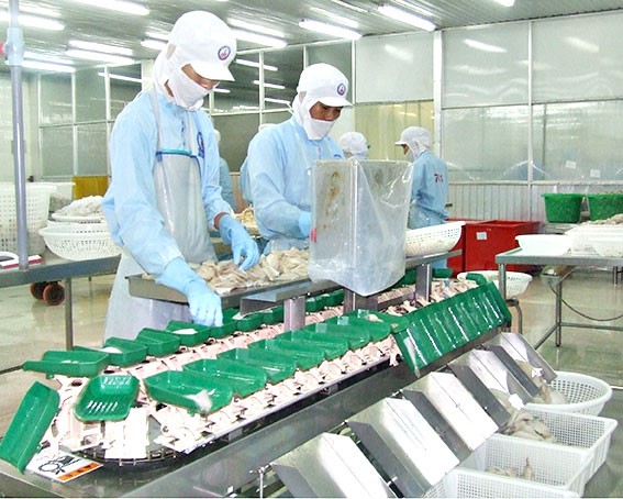 K&eacute;o d&agrave;i tuổi l&agrave;m việc phải thực sự đem lại lợi &iacute;ch cho người lao động - Ảnh 1.