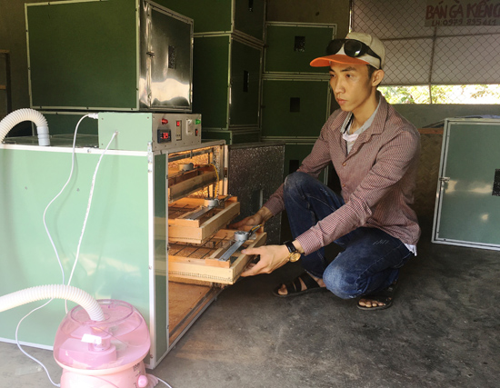 Xây dựng ý tưởng khởi nghiệp từ... chuồng gà