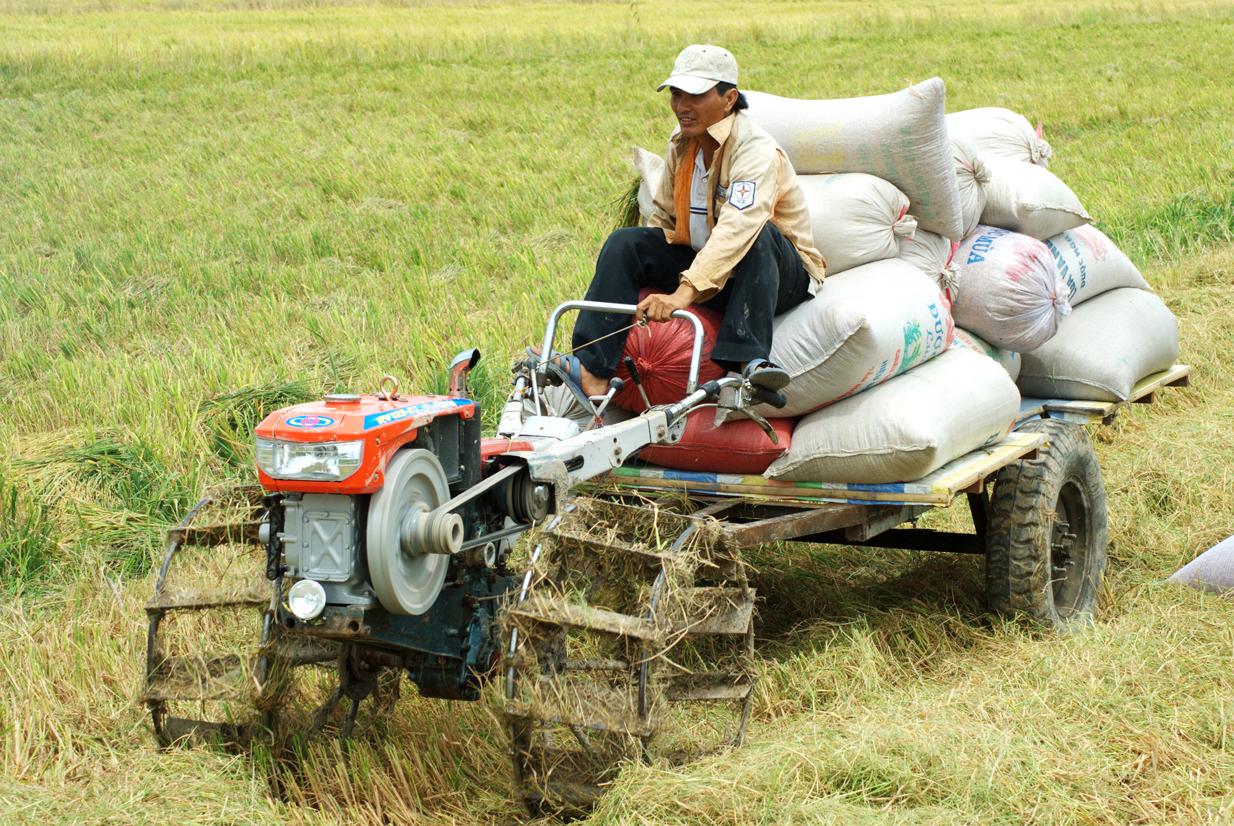 Muốn làm giàu phải tích tụ ruộng đất