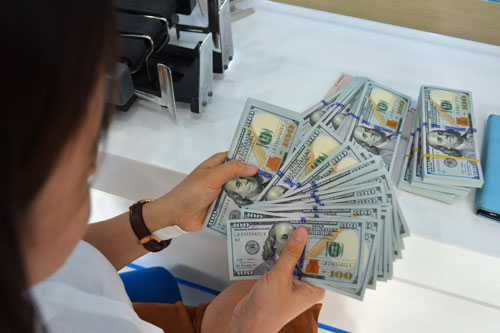 Tạm dừng bảo lãnh Chính phủ cho các khoản vay trong và ngoài nước