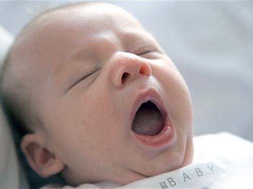 Ngáp: Những điều bí ẩn