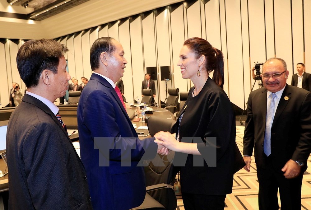 Chủ tịch nước: Th&ocirc;ng qua Tuy&ecirc;n bố Đ&agrave; Nẵng tại APEC 2017 - Ảnh 23.
