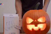 Trang trại bí ngô hút khách dịp Halloween tháng 10