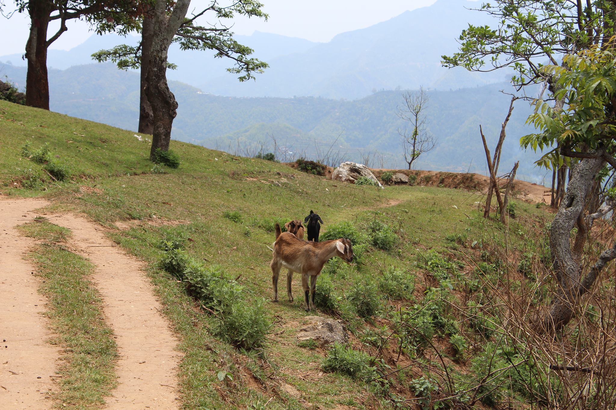 Cuốc bộ và quá giang ở Nepal - Ảnh 5.