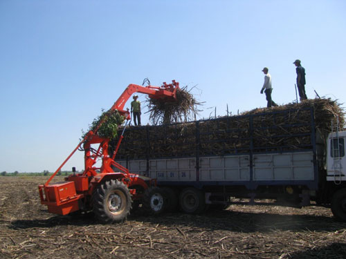 Lời giải cho bài toán mía nguyên liệu