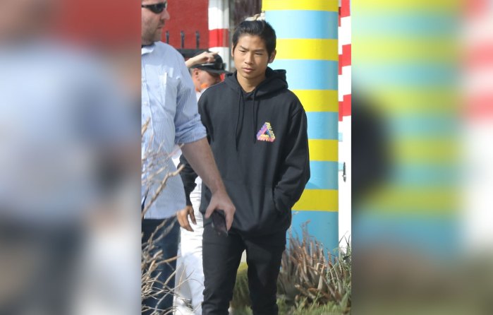 Pax Thi&ecirc;n v&agrave; Brad Pitt đi trị liệu t&acirc;m l&yacute; - Ảnh 3.