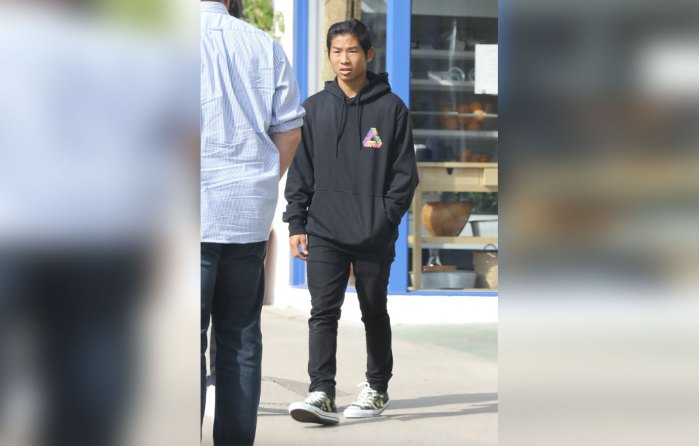 Pax Thi&ecirc;n v&agrave; Brad Pitt đi trị liệu t&acirc;m l&yacute; - Ảnh 2.