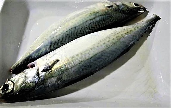 Mộc mạc canh c&aacute; nục b&ocirc;ng nấu ng&oacute;t - Ảnh 2.