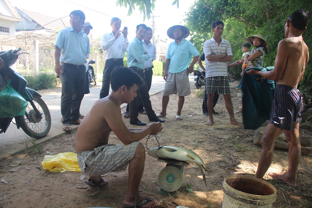 C&aacute; nu&ocirc;i tr&ecirc;n s&ocirc;ng Bồ chết h&agrave;ng loạt, người d&acirc;n trắng tay - Ảnh 2.