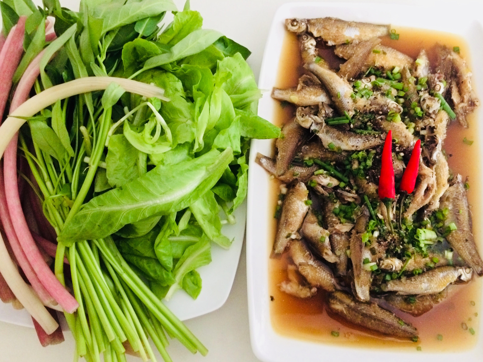 Dân hai lúa mà mua nhầm cá linh thở oxy - Ảnh 4.