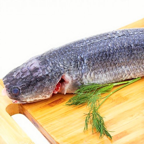 C&aacute; l&oacute;c nhồi thịt sốt c&agrave;: M&oacute;n ngon kh&oacute; cưỡng - Ảnh 2.