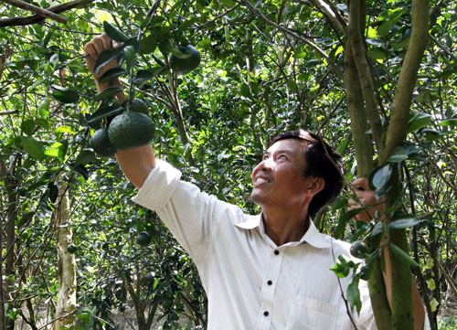 Tỉ phú cam sành