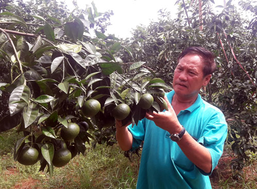 Người hồi sinh vùng đất chết