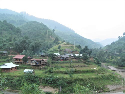 Đẩy lùi "đẻ chòi"
