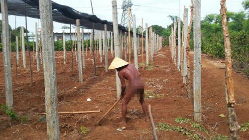 Dị nhân giữa đời thường: Lạ lùng ông Chim truồng