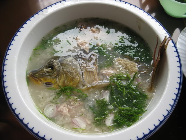 Món ăn thuốc trị ù tai, hoa mắt