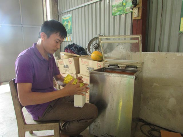 Đổi đời  từ một sào chè