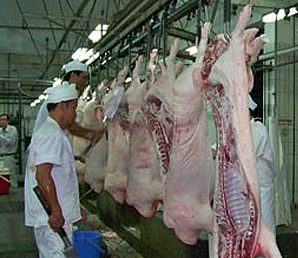 Tạo điều kiện tối đa cho xuất khẩu thịt heo