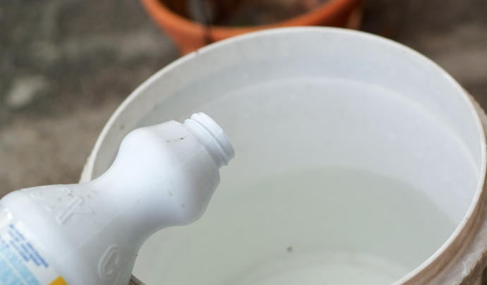 Thuốc tẩy trắng: Sát thủ giấu mặt trong nhà bếp của bạn