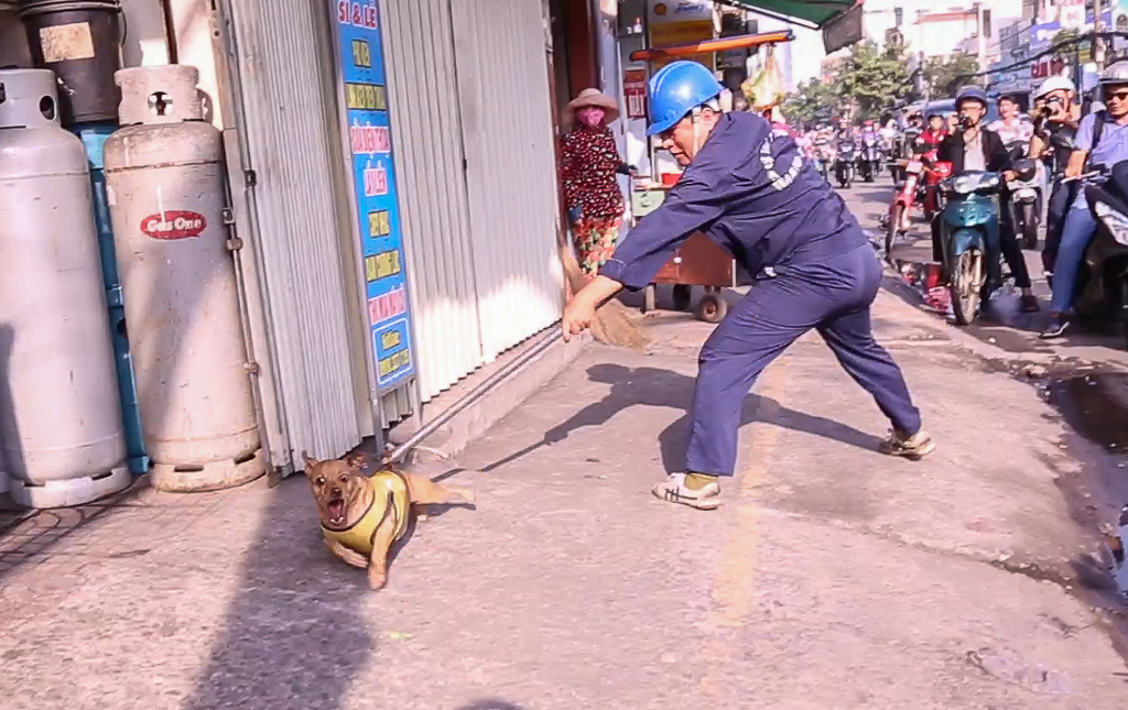 Chủ ngơ ng&aacute;c nh&igrave;n ch&oacute; thả r&ocirc;ng bị bắt - Ảnh 1.