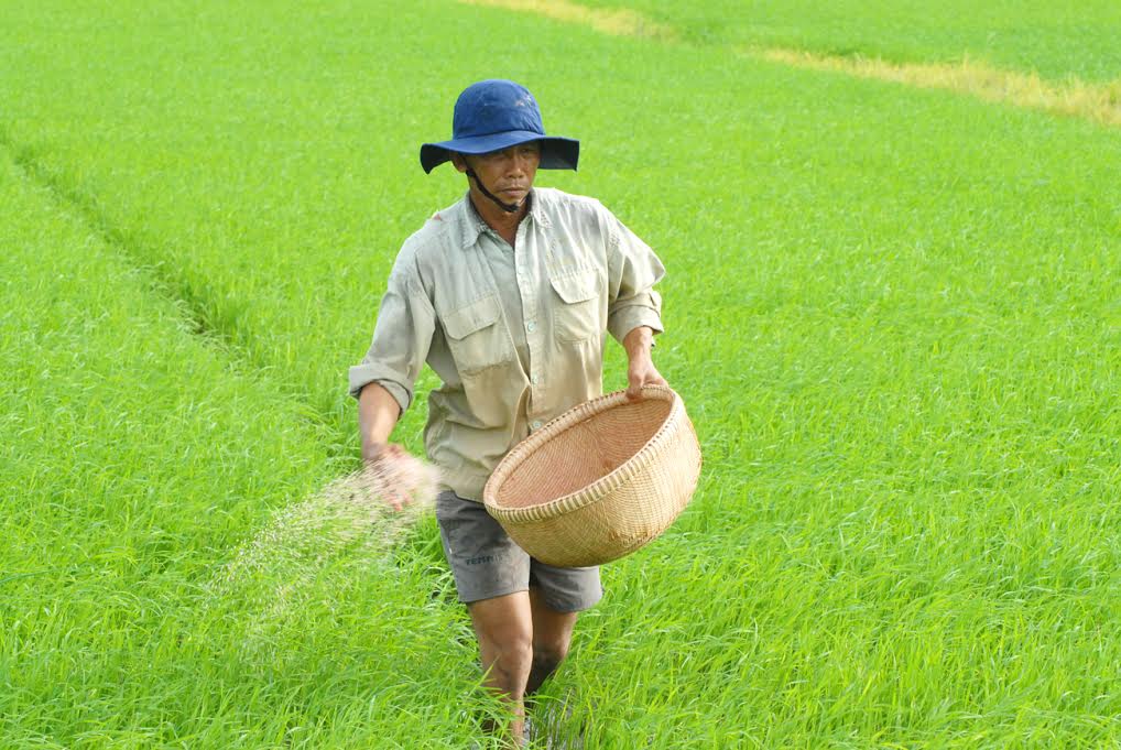 Bảo hộ DAP coi chừng bị trả đũa