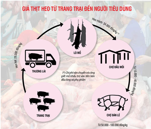 Chung tay cứu ngành heo