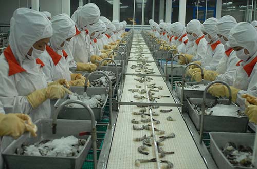 T&ocirc;m l&agrave; mặt h&agrave;ng xuất khẩu chủ lực của Việt Nam