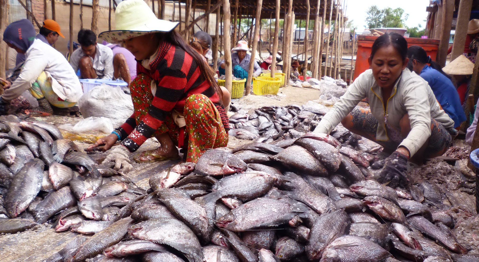 Đặc sản miền T&acirc;y tất bật đ&oacute;n Tết - Ảnh 1.