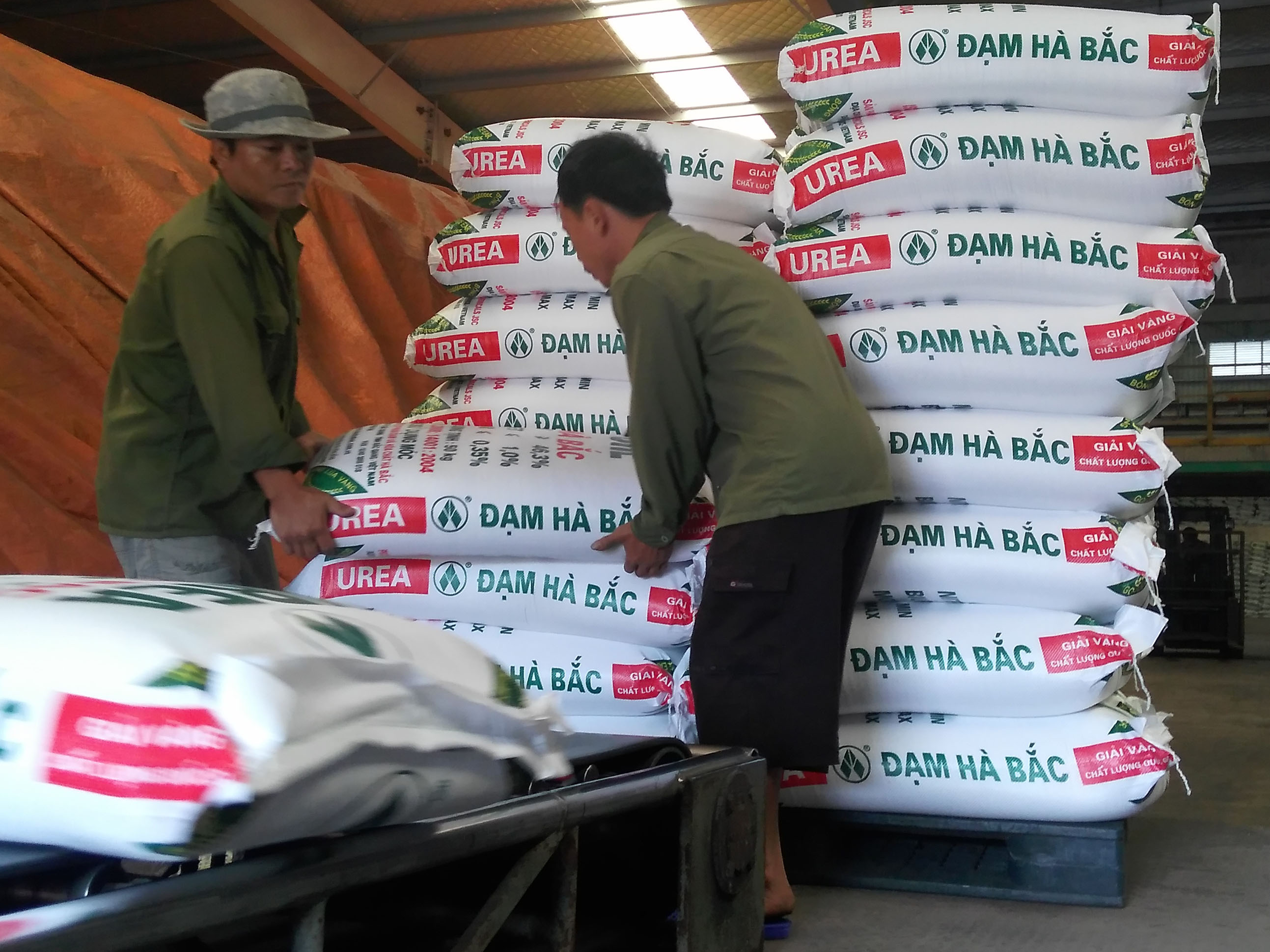 Xử lý từ gốc dự án thua lỗ