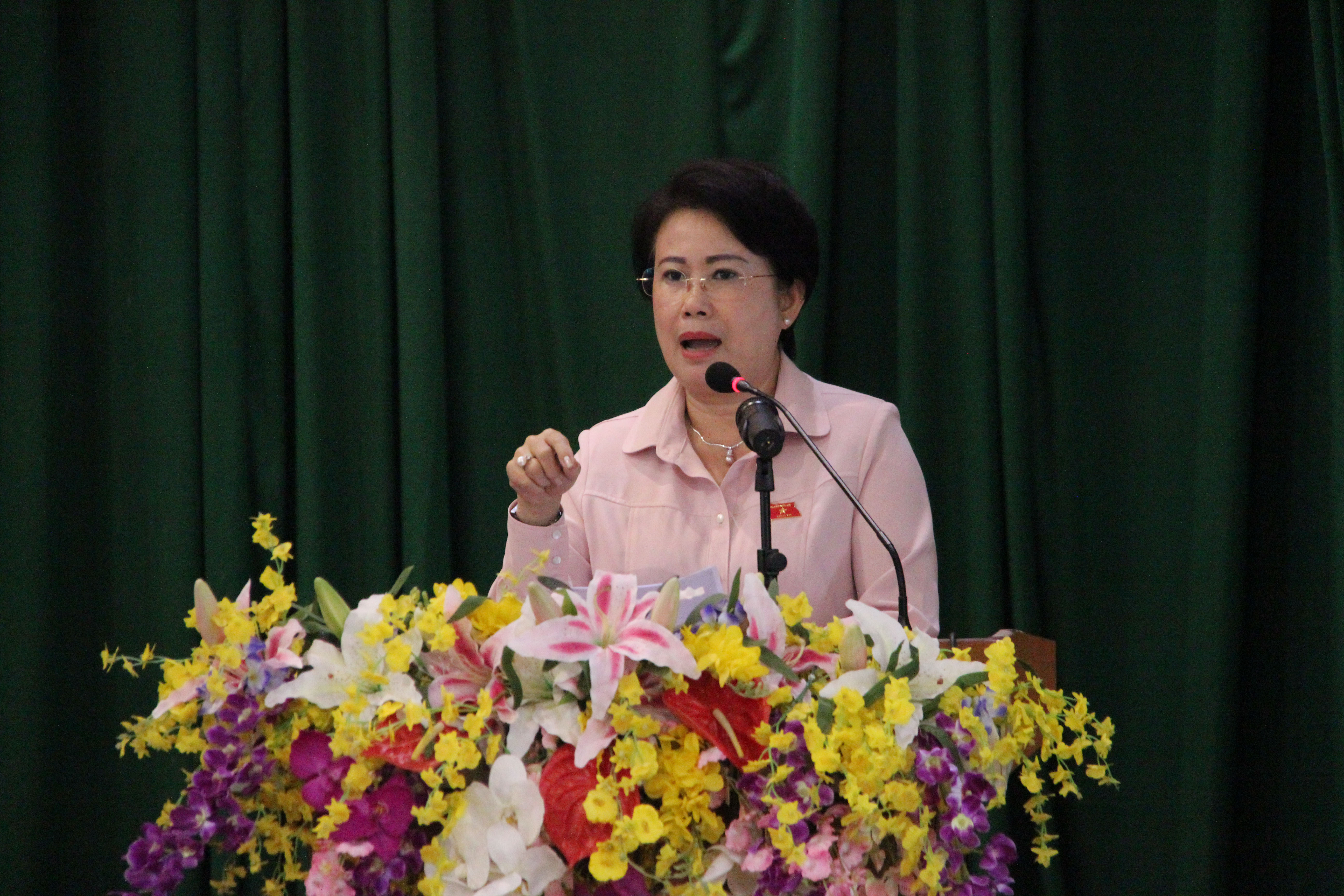Cử tri bất tín nhiệm bà Phan Thị Mỹ Thanh