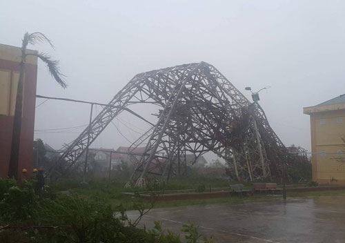 Tan hoang trong bão - Ảnh 2.