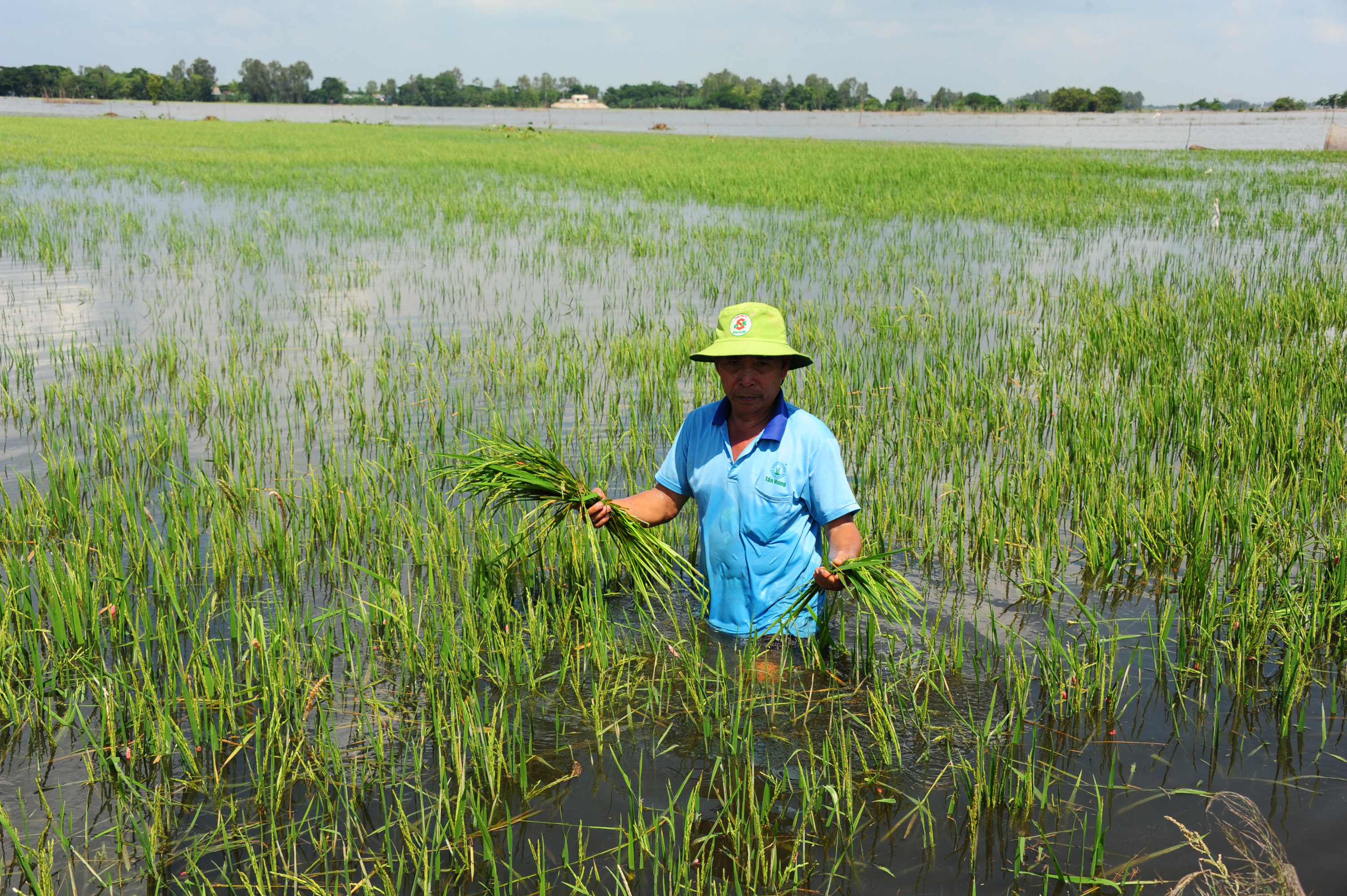 ĐBSCL: Thích ứng để phát triển bền vững