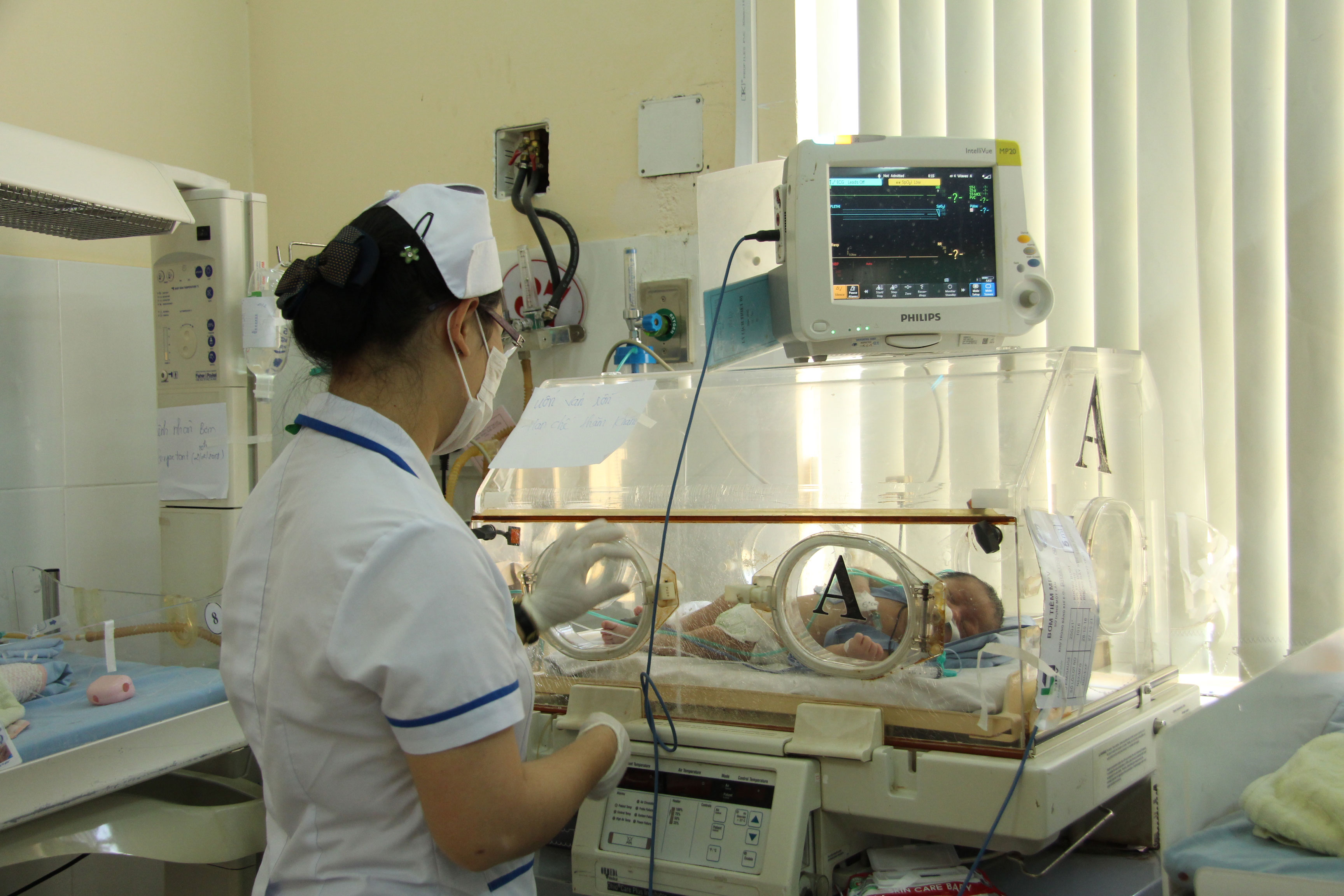 Rà soát các “mụ vườn”