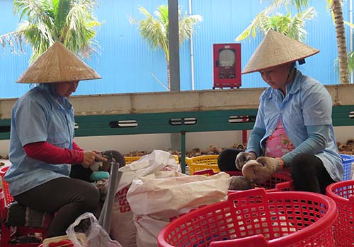 Ngân hàng ngại cho vay khởi nghiệp